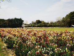-广东花都香草世界旅游度假区