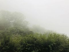 -洛阳白云山景区