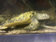 -太平洋海底世界