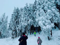 -武陵山森林公园
