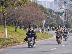 -浙江农林大学(东湖校区)
