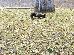 -中国建设银行哈尔滨培训中心