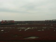 -红海滩国家风景廊道
