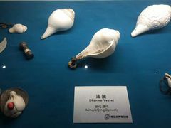 -青岛贝壳博物馆