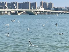 -蠡湖大桥公园