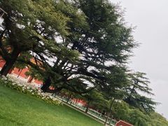 -北京市劳动人民文化宫(太庙)