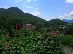 -双新垂钓园