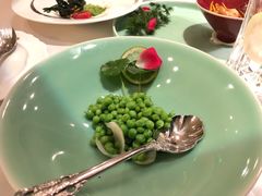 -西郊5号·Maggie 5