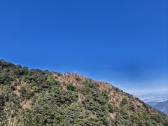 -梧桐山风景名胜区