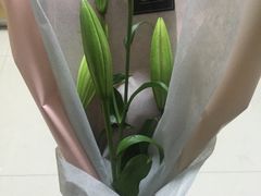 -隐食餐厅(金水湾公馆店)