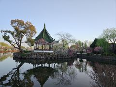 -无锡蠡湖国家湿地公园-蠡园