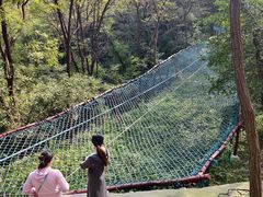 -原山国家森林公园