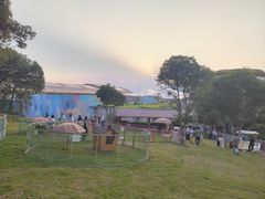 -杭州开元森泊度假乐园