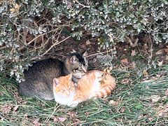 -南通博物苑-崇川人民公园