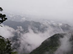 -秦岭天竺山景区