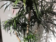 -紫腾大院·南京菜(江宁店)