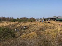 -白草畔自然风景区