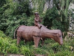 -溱湖国家湿地公园