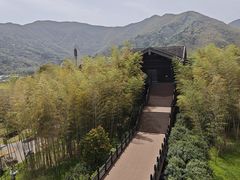 -大唐贡茶院