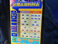 -多彩贵州城极地海洋世界