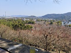-香雪海