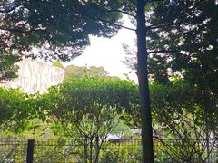 -新加坡飞禽公园