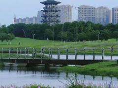-洋湖国家湿地公园