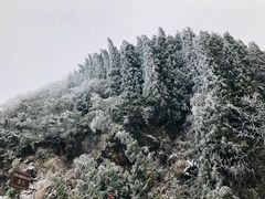 -武陵山森林公园