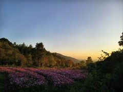 -塔川景区