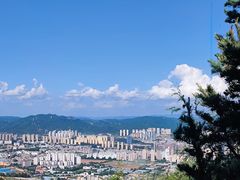 -长虫山生态公园风景林