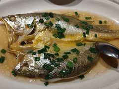 -金美华轩(东方路齐鲁店)