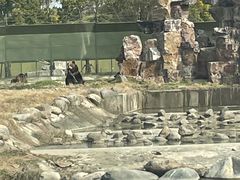 -上海野生动物园