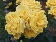 -人民公园(罗湖区)