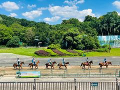 -深圳野生动物园