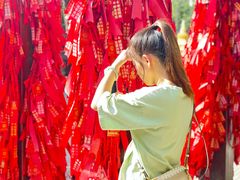 -西安大兴善寺