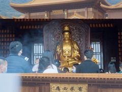 -深圳仙湖植物园-停车场