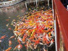 -番禺宾馆丽苑厅