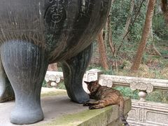 -灵谷景区