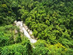 -海南热带雨林国家公园吊罗山景区