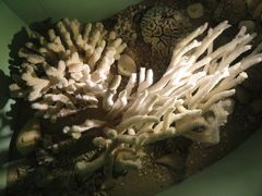 -亚龙湾中心广场·贝壳馆