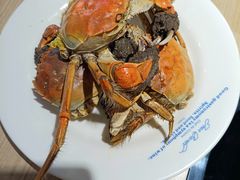 -星伦多自助料理(爱琴海店)