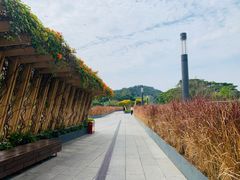 -吴系粤菜馆·茶餐厅(深业上城店)