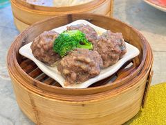 陈皮香茜牛肉丸-虾饺妹·粤式手工点心(水荫路店)