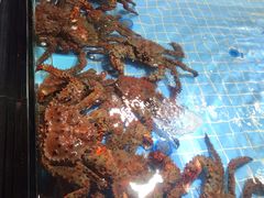 -79号渔船海鲜饭店(宝安店)