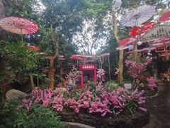 -海口观澜湖火山温泉谷