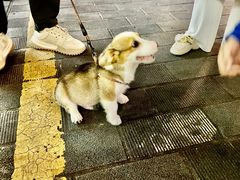 -海口骑楼小吃街