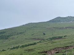 -灵山