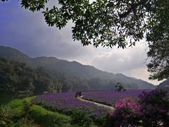 -广州市石门国家森林公园