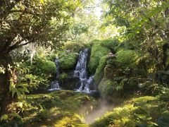 -Chom Cafe and Restaurant