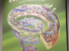 -辽宁古生物博物馆